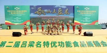嵐縣土豆香飄汾州 特色產(chǎn)品推介與民俗文化展演共慶豐收